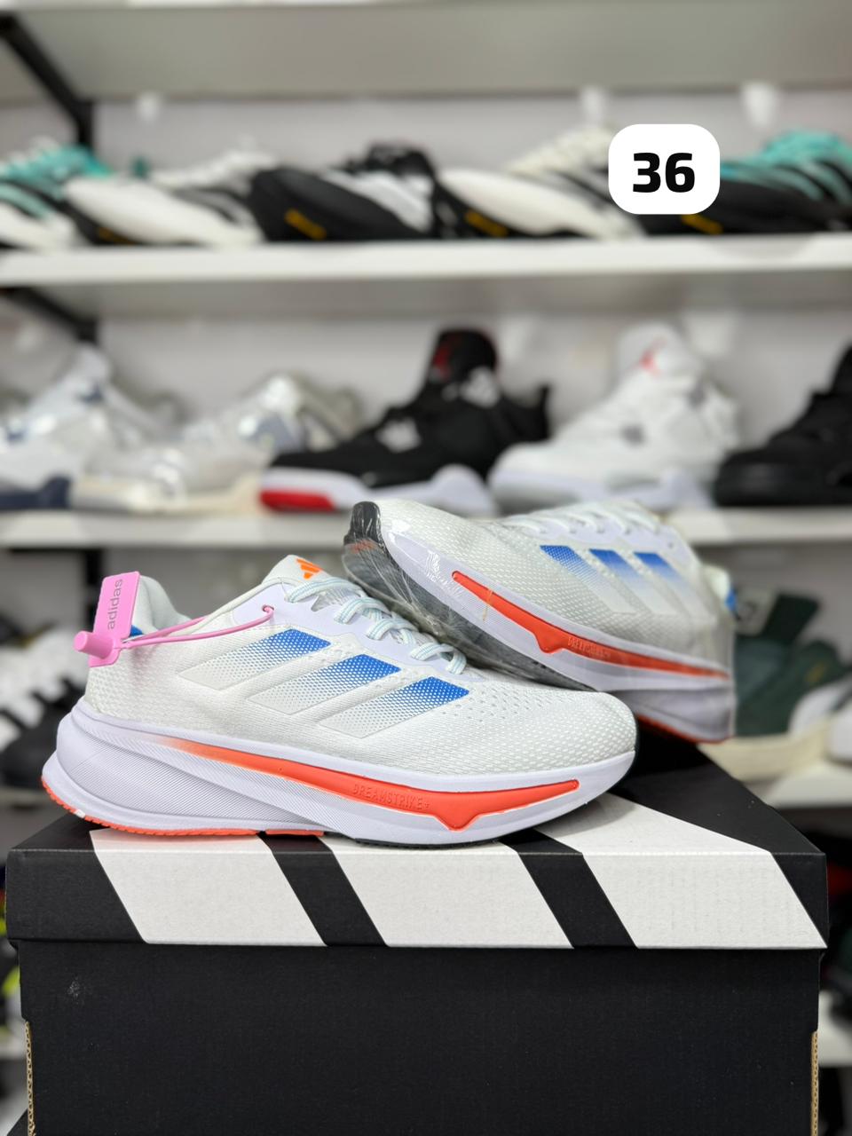 👟zapatillas