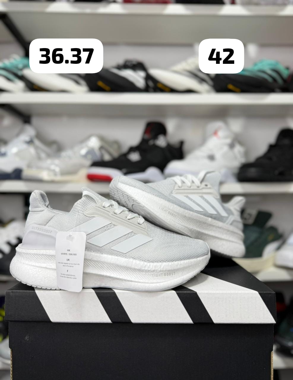 👟zapatillas